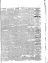 Lakes Chronicle and Reporter Friday 28 May 1886 Page 7