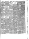 Lakes Chronicle and Reporter Friday 04 June 1886 Page 5