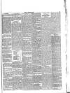 Lakes Chronicle and Reporter Friday 11 June 1886 Page 5