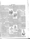 Lakes Chronicle and Reporter Friday 09 July 1886 Page 3