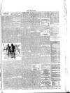 Lakes Chronicle and Reporter Friday 09 July 1886 Page 7