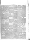 Lakes Chronicle and Reporter Friday 23 July 1886 Page 5