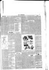 Lakes Chronicle and Reporter Friday 27 August 1886 Page 3