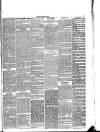 Lakes Chronicle and Reporter Friday 08 October 1886 Page 5