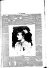 Lakes Chronicle and Reporter Friday 12 November 1886 Page 3