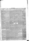 Lakes Chronicle and Reporter Friday 12 November 1886 Page 5