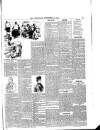 Lakes Chronicle and Reporter Friday 24 December 1886 Page 3