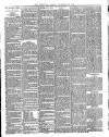 Lakes Chronicle and Reporter Friday 26 December 1890 Page 3