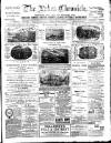 Lakes Chronicle and Reporter Friday 09 January 1891 Page 1