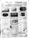 Lakes Chronicle and Reporter Friday 27 February 1891 Page 1