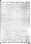 Lakes Chronicle and Reporter Wednesday 28 February 1900 Page 3