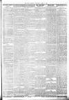 Lakes Chronicle and Reporter Wednesday 14 March 1900 Page 3