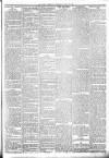 Lakes Chronicle and Reporter Wednesday 11 April 1900 Page 3