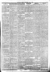 Lakes Chronicle and Reporter Wednesday 11 July 1900 Page 3