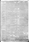 Lakes Chronicle and Reporter Wednesday 14 November 1900 Page 3