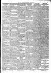 Lakes Chronicle and Reporter Wednesday 06 March 1901 Page 3