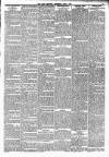 Lakes Chronicle and Reporter Wednesday 05 June 1901 Page 3