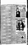 Lakes Chronicle and Reporter Wednesday 18 March 1903 Page 7