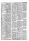 Witney Express and Oxfordshire and Midland Counties Herald Thursday 22 July 1869 Page 5