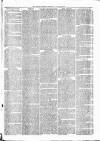 Witney Express and Oxfordshire and Midland Counties Herald Thursday 12 August 1869 Page 5