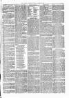 Witney Express and Oxfordshire and Midland Counties Herald Thursday 19 August 1869 Page 3