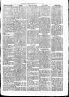 Witney Express and Oxfordshire and Midland Counties Herald Thursday 09 September 1869 Page 5