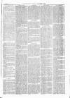 Witney Express and Oxfordshire and Midland Counties Herald Thursday 30 September 1869 Page 5