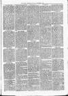 Witney Express and Oxfordshire and Midland Counties Herald Thursday 09 December 1869 Page 3