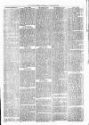 Witney Express and Oxfordshire and Midland Counties Herald Thursday 23 December 1869 Page 5