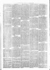 Witney Express and Oxfordshire and Midland Counties Herald Thursday 30 December 1869 Page 5