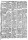 Witney Express and Oxfordshire and Midland Counties Herald Thursday 17 February 1870 Page 3