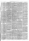 Witney Express and Oxfordshire and Midland Counties Herald Thursday 21 April 1870 Page 3