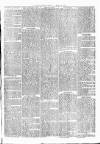 Witney Express and Oxfordshire and Midland Counties Herald Thursday 04 August 1870 Page 5