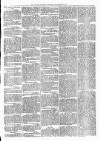 Witney Express and Oxfordshire and Midland Counties Herald Thursday 15 September 1870 Page 2