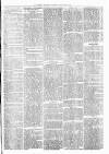 Witney Express and Oxfordshire and Midland Counties Herald Thursday 17 November 1870 Page 5