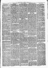 Witney Express and Oxfordshire and Midland Counties Herald Thursday 09 March 1871 Page 5