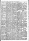 Witney Express and Oxfordshire and Midland Counties Herald Thursday 08 February 1872 Page 5