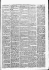 Witney Express and Oxfordshire and Midland Counties Herald Thursday 22 April 1875 Page 3