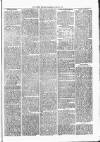 Witney Express and Oxfordshire and Midland Counties Herald Thursday 22 April 1875 Page 7