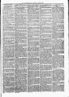 Witney Express and Oxfordshire and Midland Counties Herald Thursday 29 April 1875 Page 3