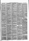 Witney Express and Oxfordshire and Midland Counties Herald Thursday 01 July 1875 Page 3