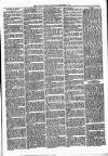 Witney Express and Oxfordshire and Midland Counties Herald Thursday 02 September 1875 Page 3