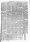 Witney Express and Oxfordshire and Midland Counties Herald Thursday 22 February 1877 Page 5