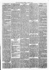 Witney Express and Oxfordshire and Midland Counties Herald Thursday 29 January 1880 Page 3