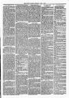 Witney Express and Oxfordshire and Midland Counties Herald Thursday 01 April 1880 Page 5