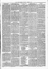 Witney Express and Oxfordshire and Midland Counties Herald Thursday 19 January 1882 Page 5