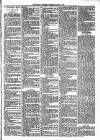 Witney Express and Oxfordshire and Midland Counties Herald Thursday 05 April 1883 Page 3