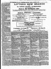 Workington Star Friday 26 October 1900 Page 5