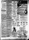 Workington Star Friday 21 December 1900 Page 7