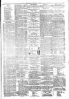 West Cumberland Times Saturday 21 November 1874 Page 7